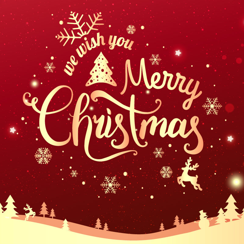 \メルマガ会員様限定!/クリスマスクーポンプレゼント