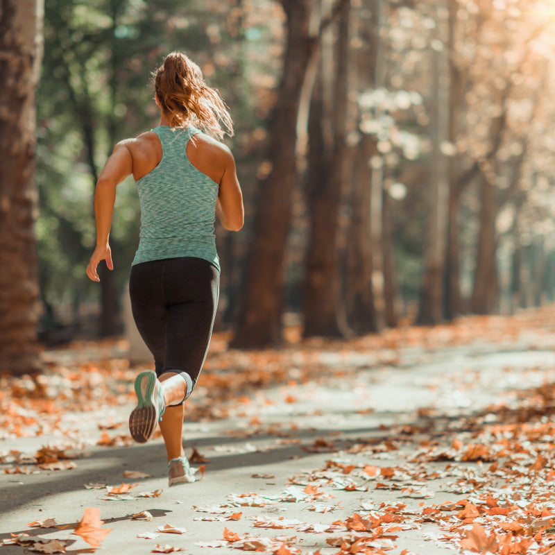 スポーツの秋におすすめ!スポブラ特集