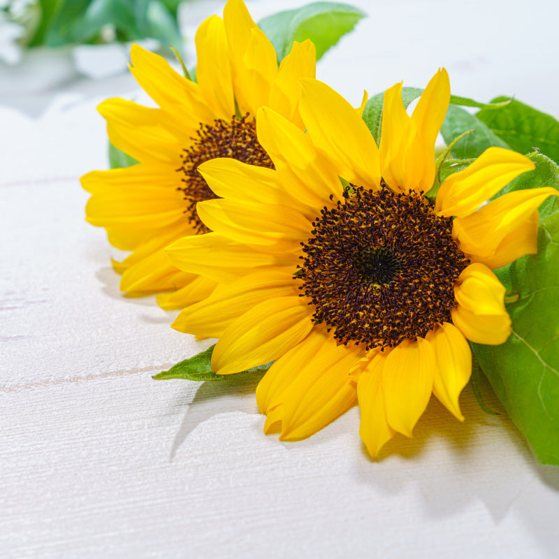 2021年お盆休みのお知らせ