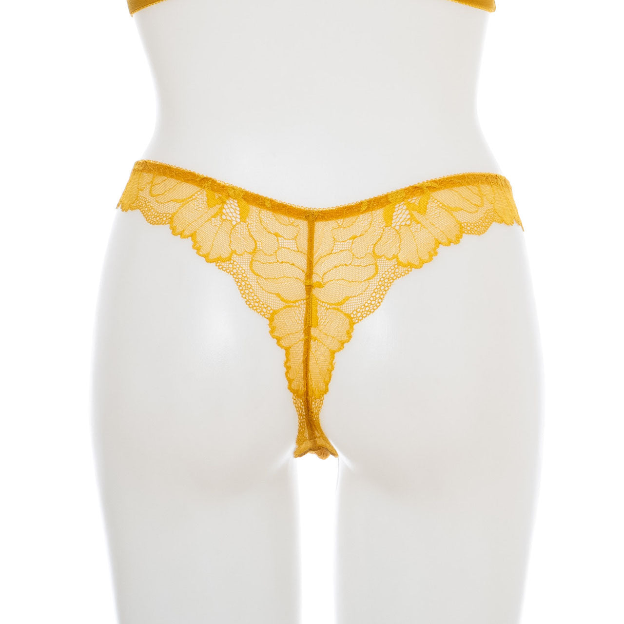 X-Rated ピオニー タンガ