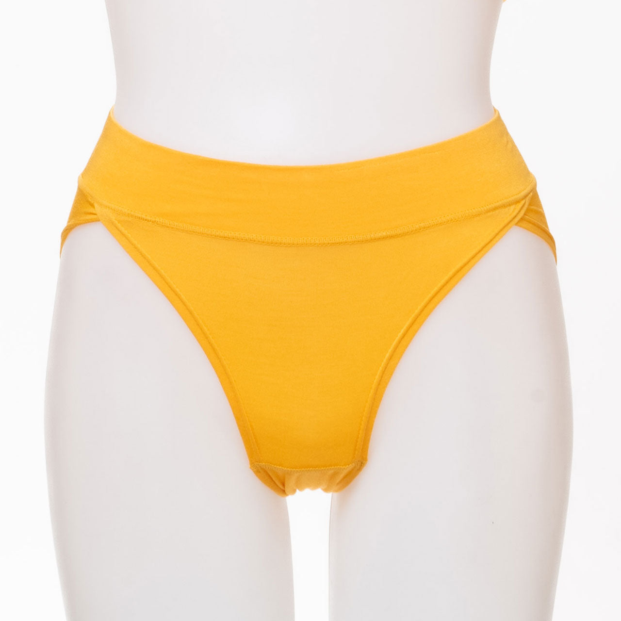 ねるねん ハイレグふんどし