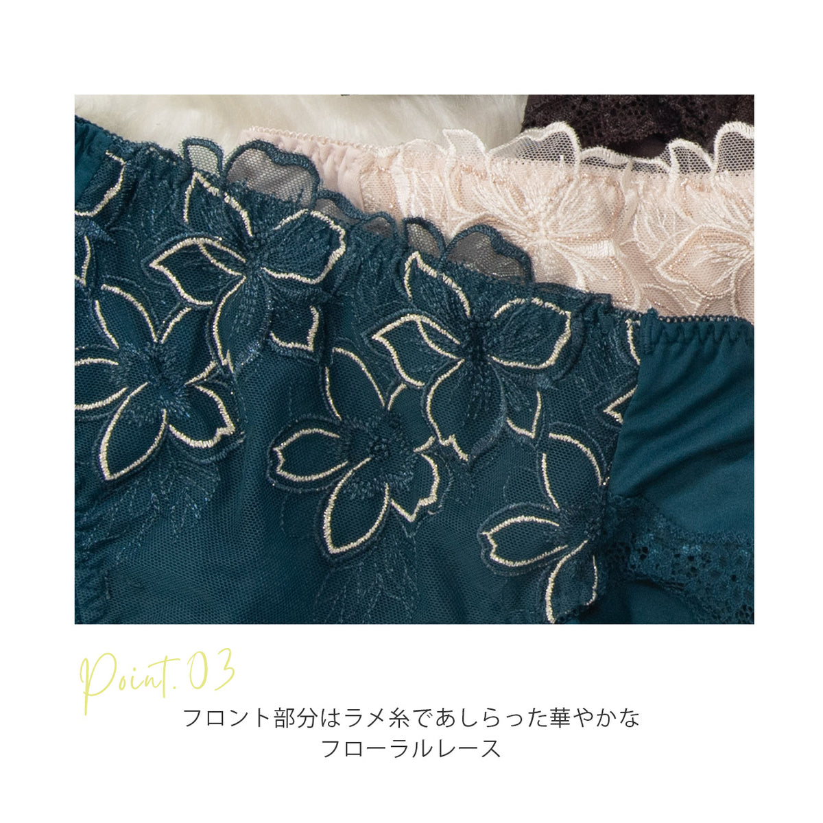 美背中シルエット　ペアショーツ　キレイ工房