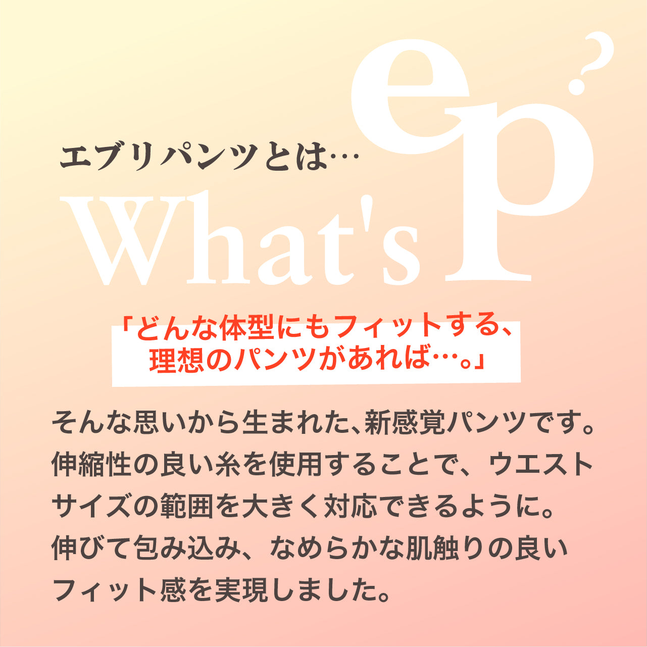 エブリパンツ　ノーマルタイプ