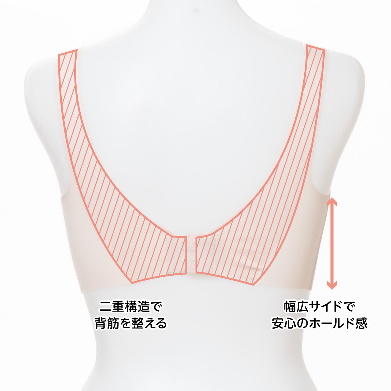 まるでノーブラ感覚　ベアスキンブラ　エアドリームプラス